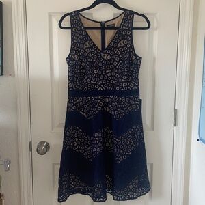 The Limited Fit and Flare Lace V-neck Dress Navy Size 8 New With Tags